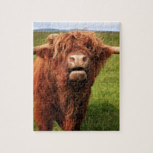 Scottish Highland Cattle - Scotland Puzzle