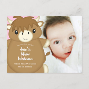 Scottish Highland Cow Baby Shower Pink Postkarte