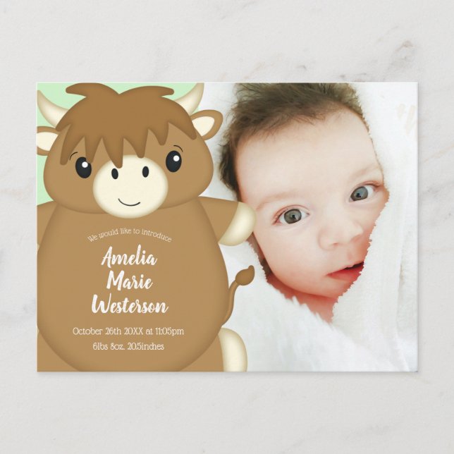 Scottish Highland Cow Baby Shower Postkarte (Vorderseite)
