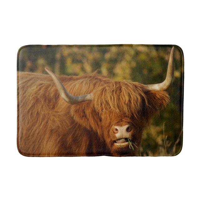 Scottish Highland Cow Badematte (Vorderseite)