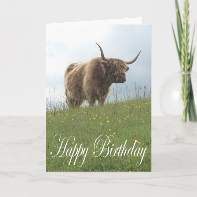 Scottish Highland Cow Karte (Vorderseite)