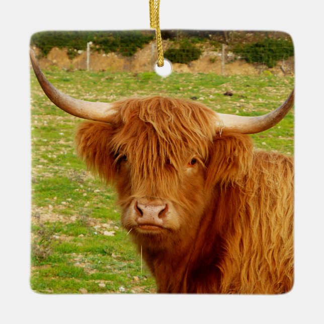 Scottish Highland Cow Keramikornament (Vorderseite)