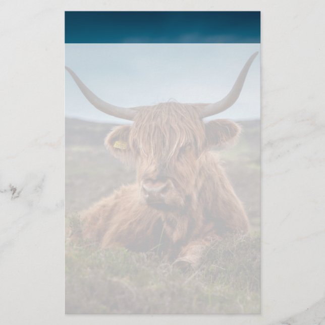 Scottish Highland Cow Longhorn Bull Rancher Briefpapier (Vorderseite)