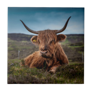 Scottish Highland Cow Longhorn Bull Rancher Fliese