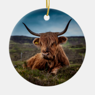 Scottish Highland Cow Longhorn Bull Rancher Keramik Ornament