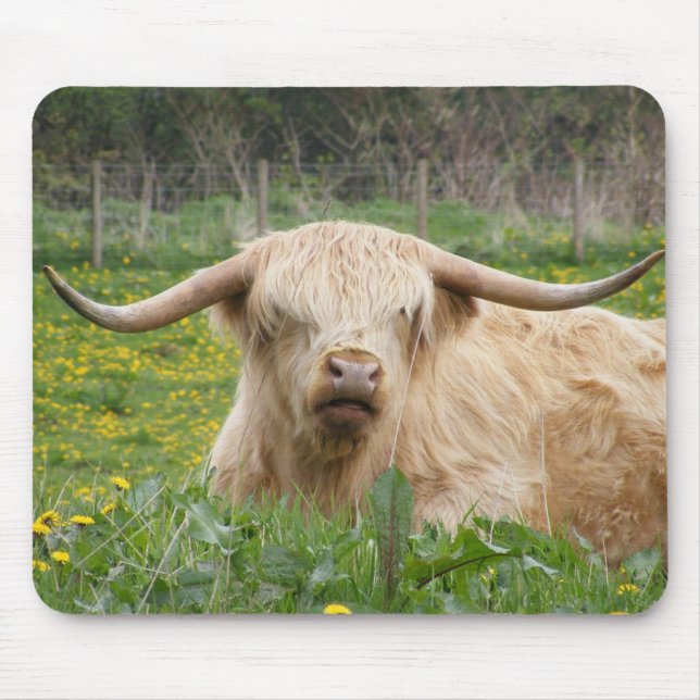 Scottish Highland Cow Mousepad (Vorne)