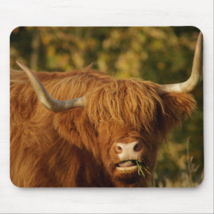 Scottish Highland Cow Mousepad