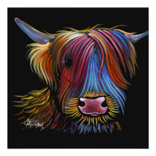Scottish Highland Cow ' PODGER ' von Shirley M Poster