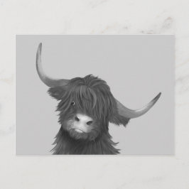 Scottish Highland Cow Postkarte