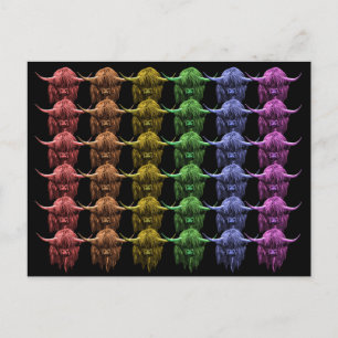 Scottish Highland Cow Postkarte