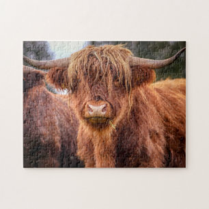 Scottish Highland Cow Puzzle