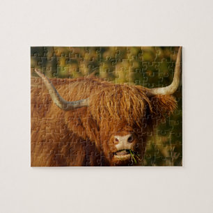 Scottish Highland Cow Puzzle