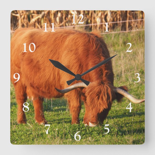 Scottish Highland Cow Square Wall Clock Quadratische Wanduhr (Vorderseite)