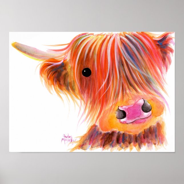 Scottish Highland Cow ' SWEET SATSUMA ' von Shirle Poster (Vorne)