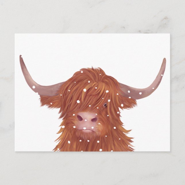 Scottish Highland Cow Winter Postkarte (Vorderseite)