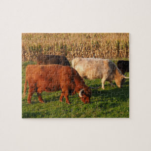 Scottish Highland Cows in a pasture Puzzle