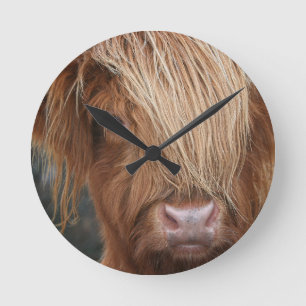 Scottish Highland Cows - Scotland Runde Wanduhr