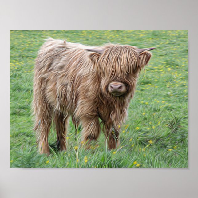 Scottish Highland Kuh Fotoposter Poster (Vorne)