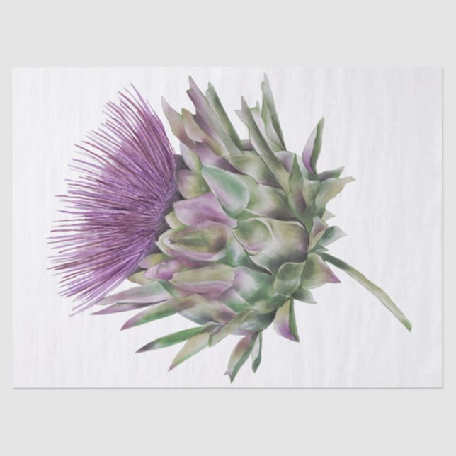 Scottish Highland Thistle Watercolor Seidenpapier (Vorderseite)