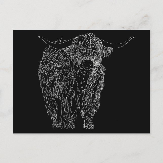 Scottish Highlander bull Postkarte (Vorderseite)