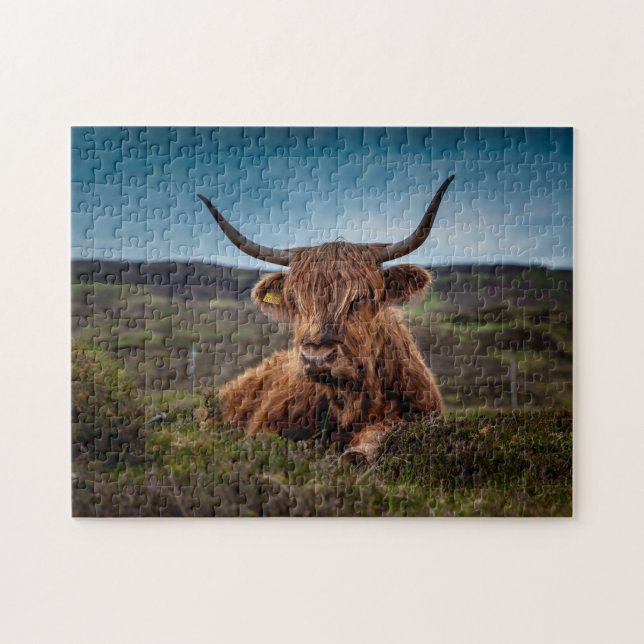 Scottish Oxen. Puzzle (Horizontal)
