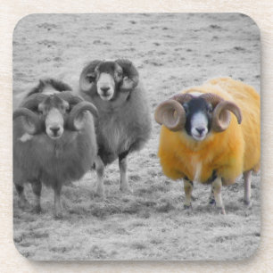 Scottish Rams Getränkeuntersetzer