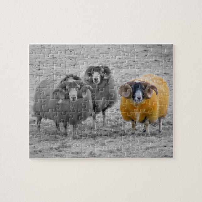 Scottish Rams Puzzle (Horizontal)