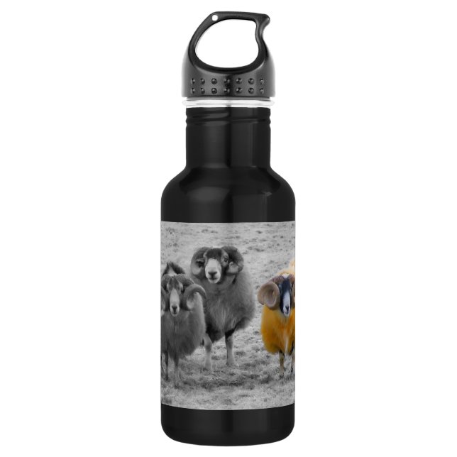 Scottish Rams Trinkflasche (Vorderseite)