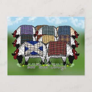 Scottish Sheep Postcard - See Ewe Jimmy Postkarte