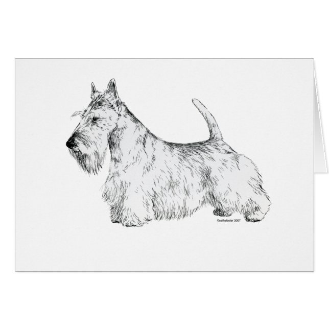 Scottish Terrier (Vorderseite (Horizontal))