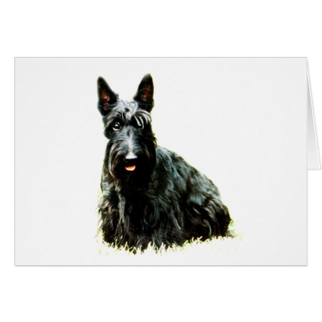 Scottish Terrier (Vorderseite (Horizontal))