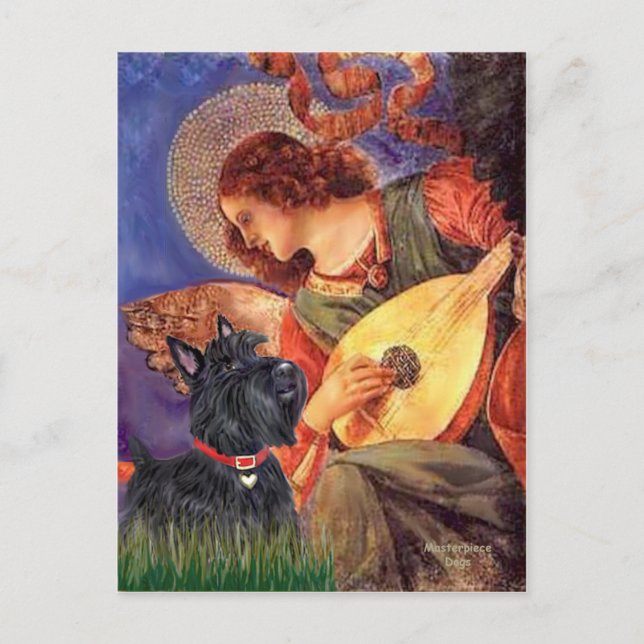 Scottish Terrier 6 - Mandolin Angel Postkarte (Vorderseite)