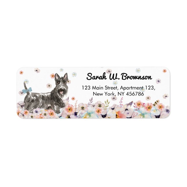Scottish Terrier Abeerdenie Dog (Vorne)