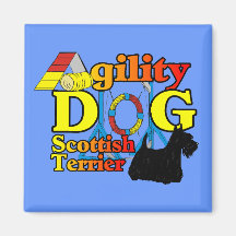 Scottish_Terrier_Agility