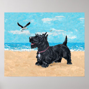 Scottish Terrier am Strand Poster