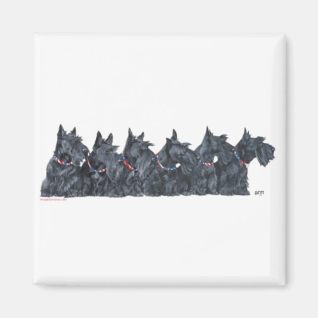 Scottish Terrier Ansammlung Magnet (Vorne)
