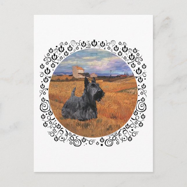 Scottish Terrier at Harvest Time Postkarte (Vorderseite)