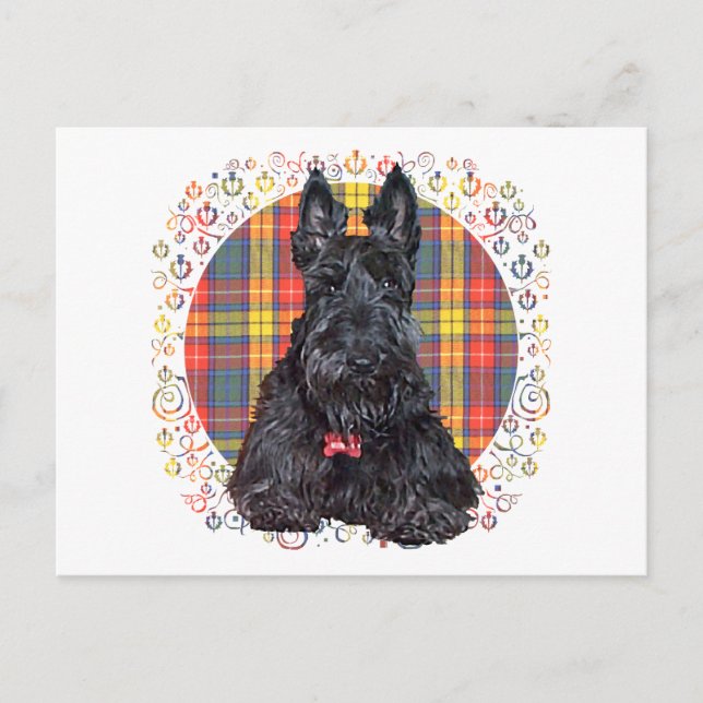 Scottish Terrier auf Buchanan Kariert Postkarte (Vorderseite)