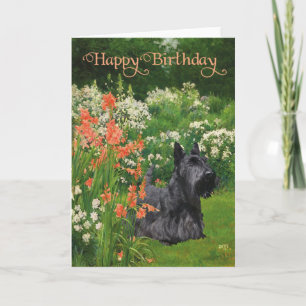 Scottish Terrier Birthday Card Karte
