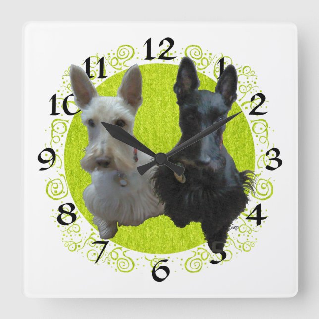 Scottish Terrier Clock Quadratische Wanduhr (Vorderseite)