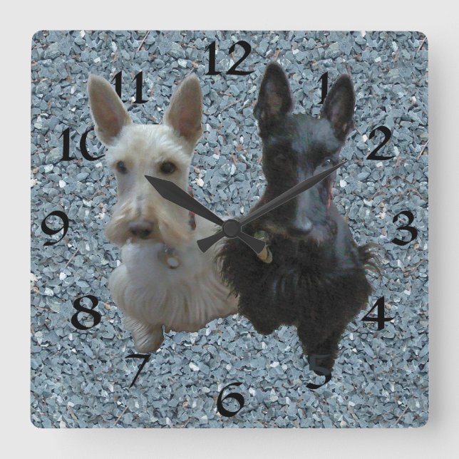 Scottish Terrier Clock Quadratische Wanduhr (Vorderseite)