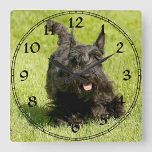 Scottish Terrier Clock Quadratische Wanduhr