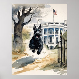 Scottish Terrier - Dog Art Print Poster