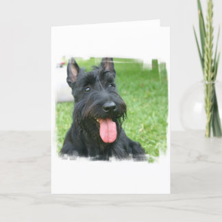 Scottish Terrier Dog Grußkarte Karte