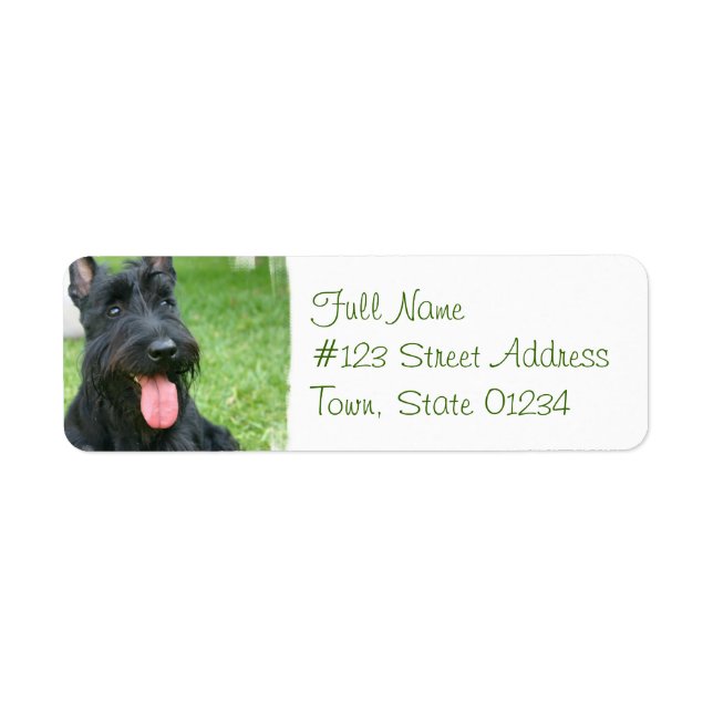 Scottish Terrier Dog Return Address Label (Vorne)