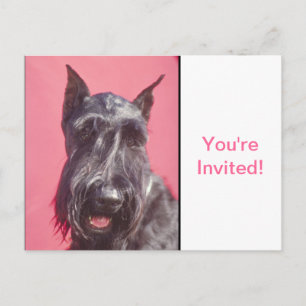 Scottish Terrier Einladungspostkarte