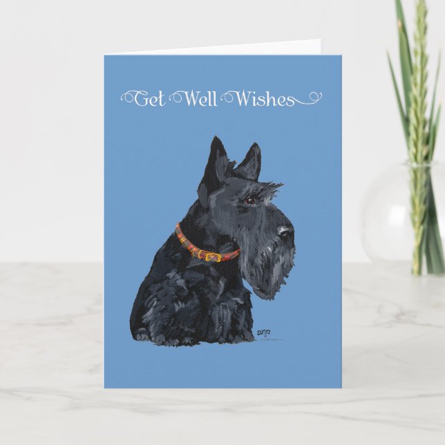Scottish Terrier Get Well Card Karte (Vorderseite)