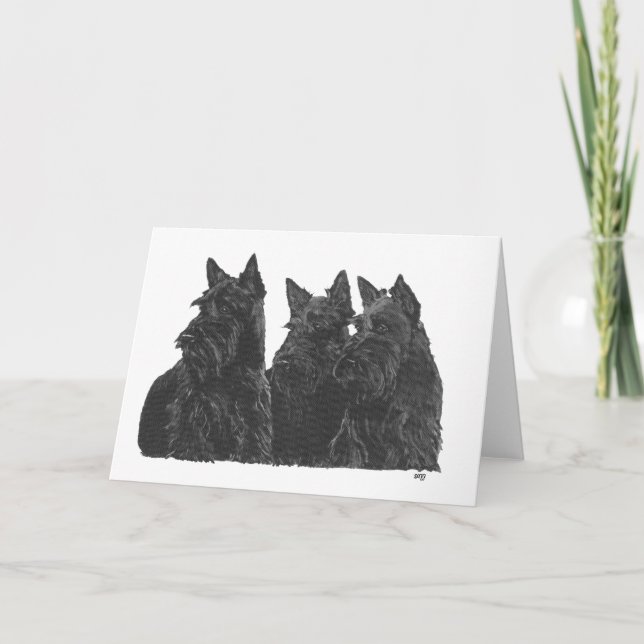 Scottish Terrier Grußkarte Karte (Vorderseite)