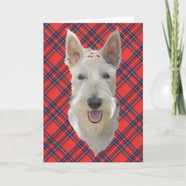 Scottish Terrier Grußkarte Karte (Vorderseite)
