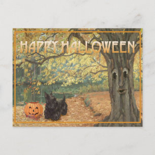 Scottish Terrier Halloween Postkarte
